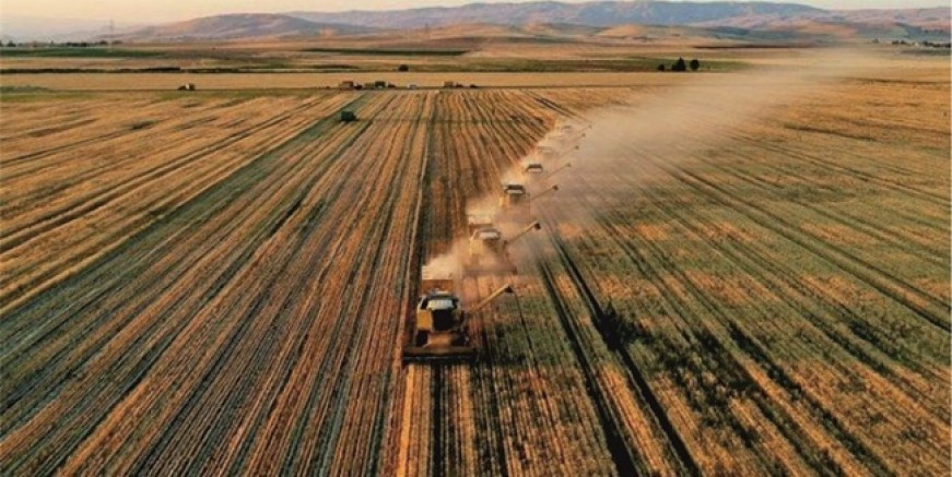 Tarım ‘bitkisel’ hayatta!